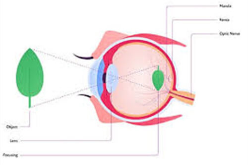 晶体结构图 晶体结构图