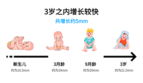 眼轴长度3岁之内增长较快