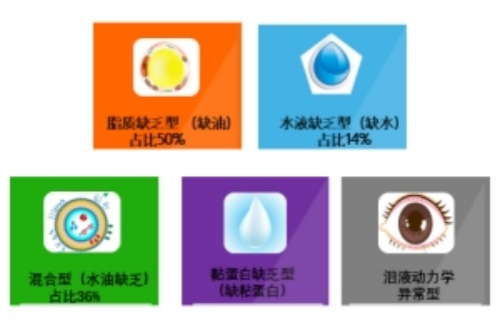 干眼症类型示意图 干眼症类型示意图