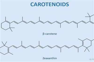 叶黄素结构示意图