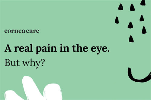 为什么会得麦粒肿