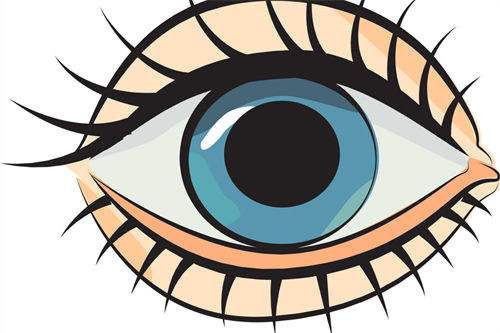 眼睛示意图