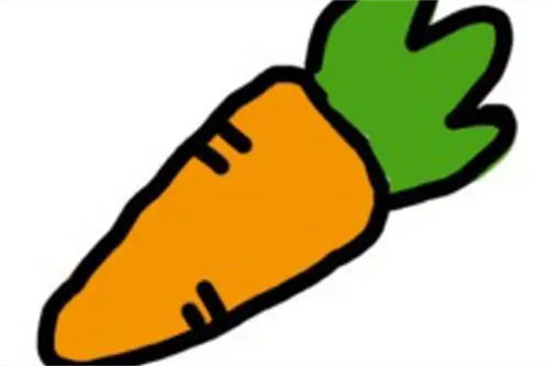 胡萝卜示意图