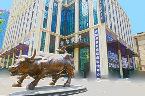 沈阳爱尔卓越眼科医院外景