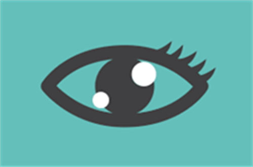 眼睛示例图