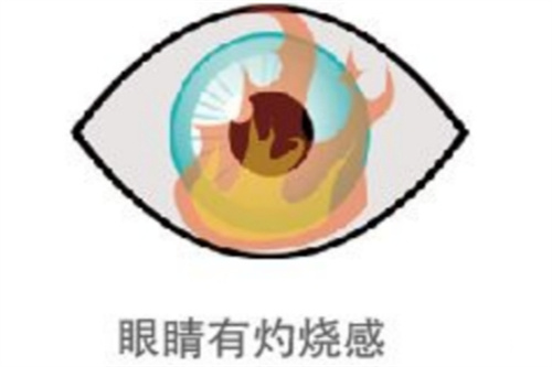 眼睛有灼烧感
