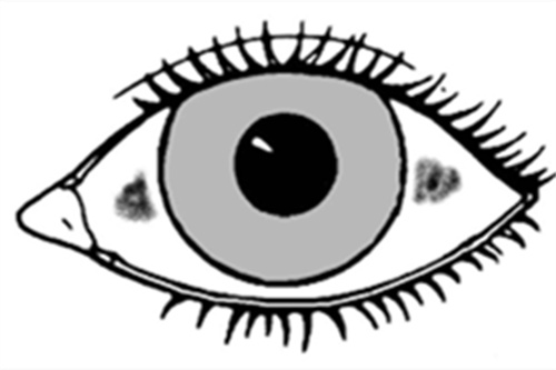 你用眼过度了吗？小心干眼症找上门：原理/症状/缓解治疗法，看完收藏！