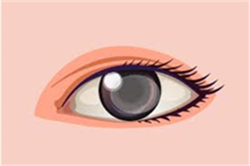 眼睛图