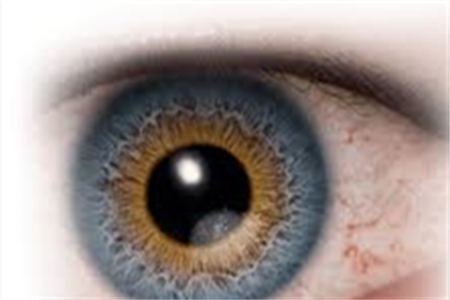 45岁以上人群如何应对近视和老花问题？近视老花症状/了解治疗方法/预防措施！