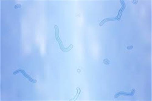 什么是飞蚊症？了解这种常见眼病：飞蚊症症状分生理和病理/飞蚊症治疗方法分享！