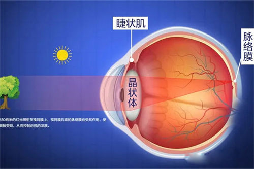 分析哺光仪治疗近视利弊,得出结论存在一定争议性建议家长谨慎选择!