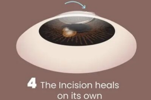 <span style= <span style=