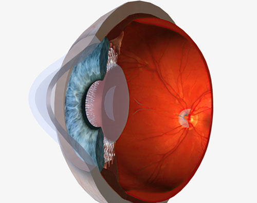 10d2bddf84e59e3164d92ccad109770a 10d2bddf84e59e3164d92ccad109770a