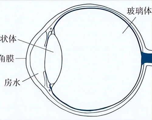 c549084061c34ad4974d81d71cb5ff93~1 c549084061c34ad4974d81d71cb5ff93~1