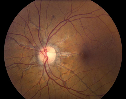 v2-883b96a2bbe521056e68540a0b0d658b_r v2-883b96a2bbe521056e68540a0b0d658b_r