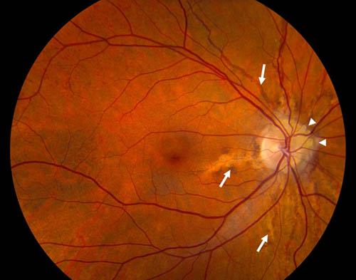 v2-d0436651b2573cdcdeb739208f596789_r v2-d0436651b2573cdcdeb739208f596789_r