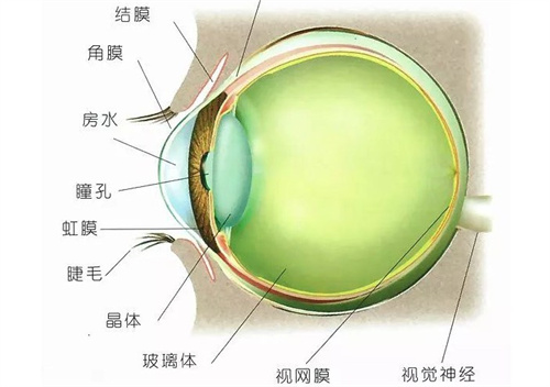 玻璃体出血症状，眼睛玻璃体出血严重吗？