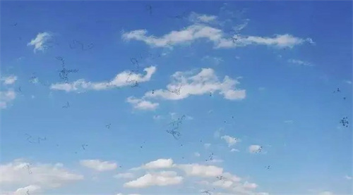 飞蚊症剩下的60个问题和答案，你想了解的飞蚊症全在这儿！